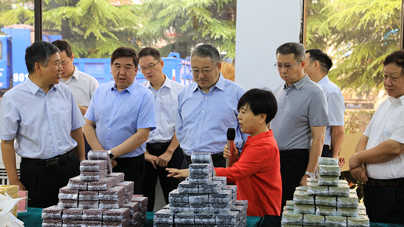 ×ðÁú¿Ê±¡¤(ÖйúÇø)ÈËÉú¾ÍÊDz«!