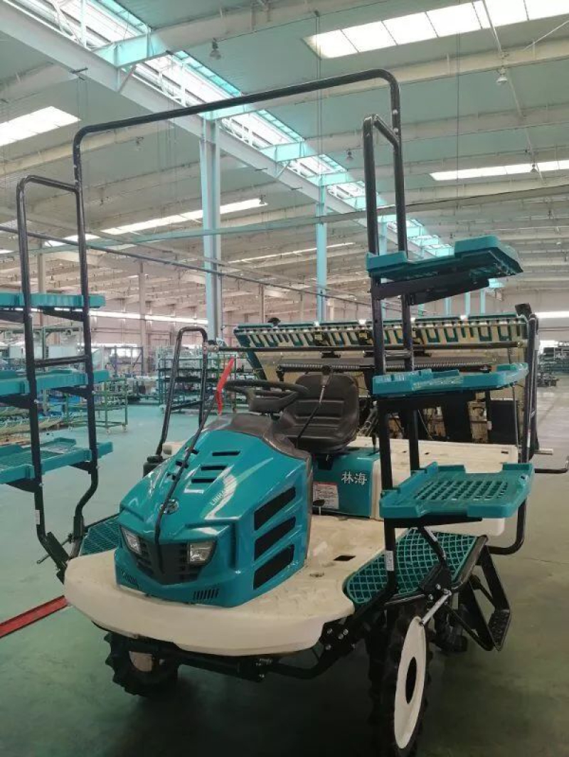 ×ðÁú¿Ê±¡¤(ÖйúÇø)ÈËÉú¾ÍÊDz«!