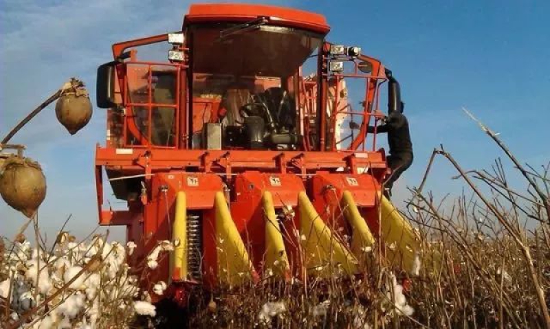 ×ðÁú¿Ê±¡¤(ÖйúÇø)ÈËÉú¾ÍÊDz«!