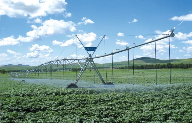 ×ðÁú¿Ê±¡¤(ÖйúÇø)ÈËÉú¾ÍÊDz«!