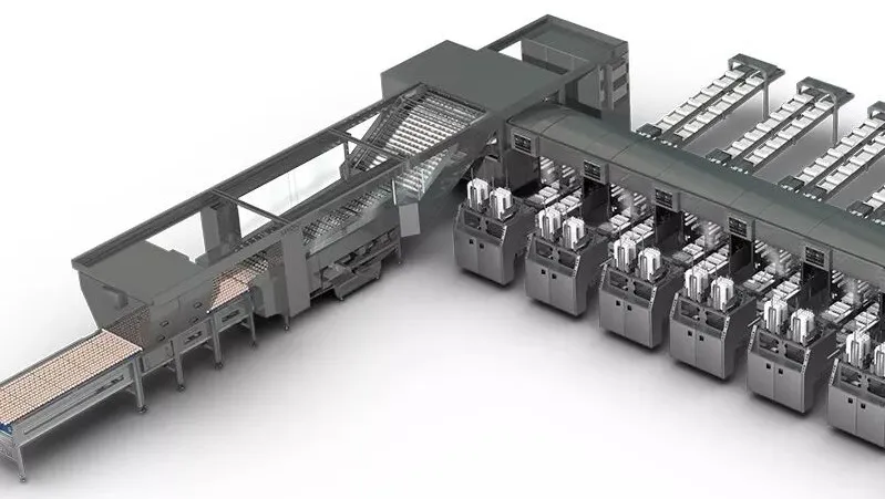 ×ðÁú¿Ê±¡¤(ÖйúÇø)ÈËÉú¾ÍÊDz«!