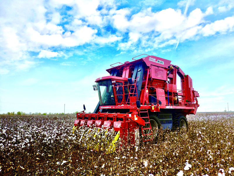 ������ʱ��(�й���)�������ǲ�!