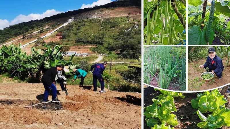 尊龙凯时·(中国区)人生就是搏!